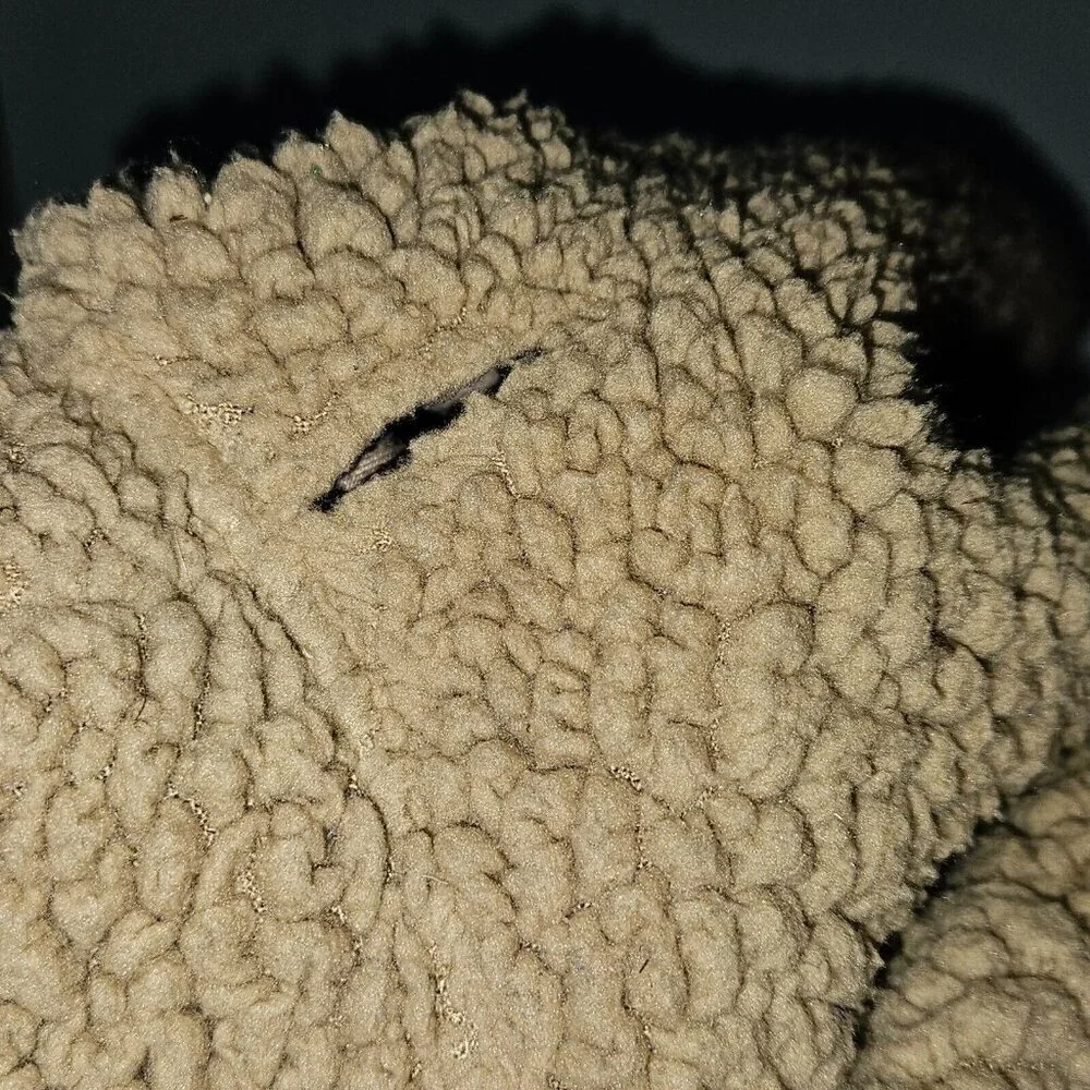 Holiday Tails reindeer dog